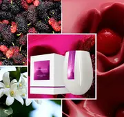 Muskberry Bliss - Mulberry, Red Fruits & Musk Natural Soy Scented Candle 80hr Burn