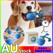 Power Tail 2.0 Dog Toy Powertail Moving Dog With Motion Activated Interactive PB