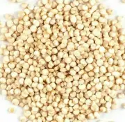 Organic White Quinoa