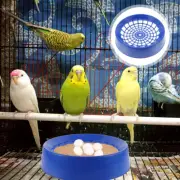 4 Pcs Pigeon Nest Egg Bowl Hatching Bowls Bird Supplies Nests Breeding