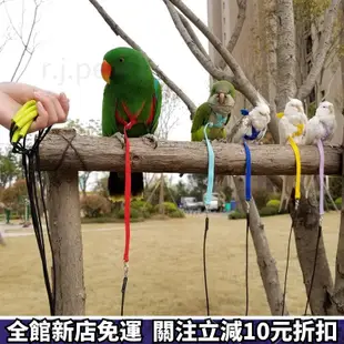 可愛寵物用品🌻鸚鵡外出繩 遛鳥繩 鸚鵡用品鳥用品 鸚鵡飛行繩牽繩 鸚鵡放飛繩鳥外出飛行繩
