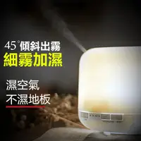 在飛比找蝦皮購物優惠-💯台灣出貨 同款 無印良品 送精油12瓶 600ML 空氣清