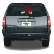 Chicago NL Trio - Cubs, Blackhawks, Bears Custom Vinyl Decal