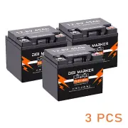 12V 45Ah LiFePO4 Deep Cycle Lithium Battery Rechargeable 50A BMS Camping Solar