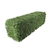 Un-Real 25cm Artificial Hedge English Box
