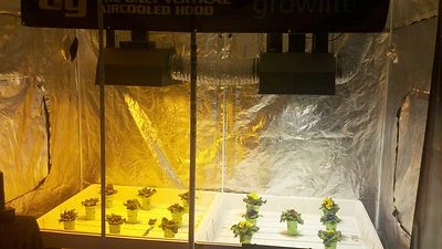 Double DIGITAL 600w OG Combo System Grow Light Hydroponic Kit Tent Ventilation