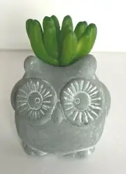 Ganz Owl Shape Planter with Artificial Flowering Succulent Plant 2 1/2"