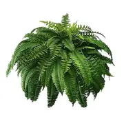 UV Resistant Lifelike Artificial Boston Fern, Artificial Ferns for Outdoors, Faux Ferns Fake Ferns Artificial Plants green