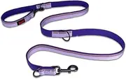 HALTI Double-Ended Leash for Dogs - Neoprene-Padded, Easy to Use, Reflective, Adjustable Lengths, Ideal Dog Leash for Hands Free Running & Training. Suitable for Medium and Large Dogs (Size L, Purple)
