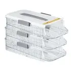 Slide-out Egg Tray Refrigerator Holder Capacity Fridge Storage Box with Rolling
