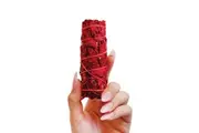 Crystal Wonderland 1pc Smudge Stick White Sage & Dragons Blood 10cm
