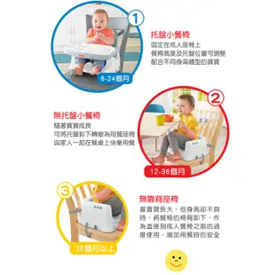 Fisher-Price 費雪 新寶寶小餐椅(FBEHGX39F)【衛立兒生活館】