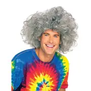 Bad Hair Day Wig for Adults Einstein Mad Scientist Costume Accessory - Grey