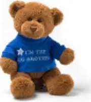 [GUND] I'm The Big Brother T-Shirt Teddy Bear Stuffed Animal Plush, Blue, 12"
