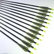 12 Shiny Black® 30" Premium Fiberglass Hunting / Target Arrows w/ Screw-In F.P.