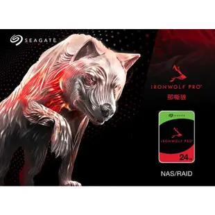 Seagate那嘶狼IronWolf Pro 24TB 3.5吋 NAS專用硬碟 (ST24000NT001)