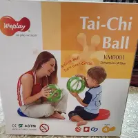 在飛比找Yahoo!奇摩拍賣優惠-太極球 -童心園太極球weplay