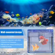 Fish Breeding Box Clear Fish Isolation Box Acrylic Fish Isolation Hatchery FaQwx