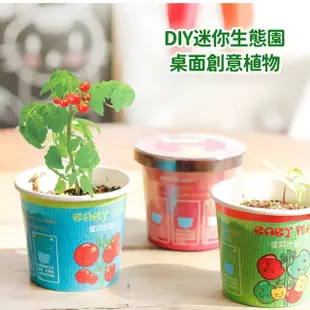 【百獅】種植小盆栽 兒童植物 兒童盆栽(DIY負離子綠植 小盆栽 桌面迷你兒童種植 室內植物 辦公室盆栽)