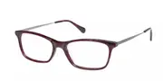 Radley RDO ESME 162 Men's Glasses Burgundy Size 51 - Private Health Rebate - Blue Light Block Available
