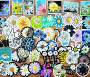 50pcs Waterproof Daisy Flower Stickers For Water Bottle,Hydro Flask,Laptop