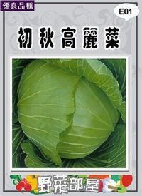 在飛比找Yahoo!奇摩拍賣優惠-【野菜部屋~】E01 日本初秋高麗菜種子0.55公克 , 梨