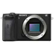 Sony A6600