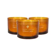 Nicola Spring Scented Soy Wax Candles - 350g - Sandalwood & Jasmine - Pack Of 3