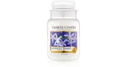 Yankee Candle Candle aromatica Midnight Jasmine - 623g