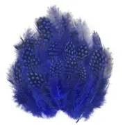 Blue Craft Feathers Pheasant Feathers, 50 Pcs Small Spotted 50pcs Royal Blue