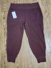 ATHLETA Venice Velvet Stripe Jogger Plus 2X NWT
