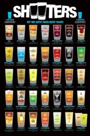 Shooters poster Best Shots Drinks Measurements Ingredients Drunk Liquor 24x36!!!