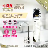 在飛比找PChome24h購物優惠-【水蘋果公司貨】EVERPURE QL3-BH2 單道淨水器