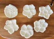 Flower Cookie Cutter With Embosser Stamps Set - Spring - Garden
