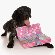 LULU'S KITCHEN Dog Treats Christmas Advent Calendar 2023