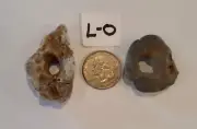 2 LG Genuine Surf Tumbled Holey, Hag, Wishing, Fairy Stones. (L-O)