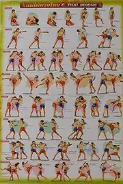 Muay Thai Kickboxing Boxing Skill Moves Sport Poster Training 53 x 76 cm New