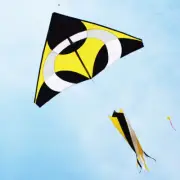 NEW 2m YELLOW Huge Triangle Single Line Kite With Windsock Outdoor Sports Toys