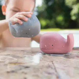 丹麥hevea洗澡戲水玩具 - 海洋系列