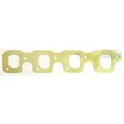 Platinum Extractor Gasket - HSM18