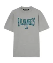 Palm Angels Logo Printed Crewneck T-Shirt mixed-color gray