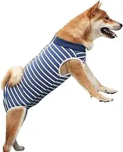 Dog Recovery Suit, Bandages Cone E-Collar Alternative Professional Protective Shirt for Male Female Dogs & Cats After Surgery, Pet Post Operative Jumpsuit for Abdominal Wounds (Stripe, XXXL)