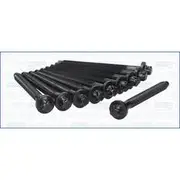 Austral Cylinder Head Bolt Set - 81024700