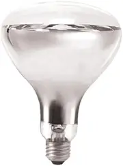 Bathroom Instant Heat Lamp Globe 240V E27 275W Clear R125