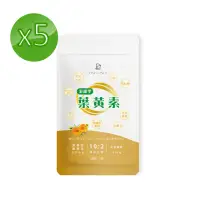 在飛比找momo購物網優惠-【派康斯】高單位游離型金盞花葉黃素(9大黃金配方 30顆/包