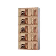 Kylin Cubes Storage Folding Shoe Cabinet With 2 Column & 10 Grids & 10 Brown Doo