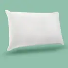 Trendy Home 12x20 Throw Pillow Insert, Cushion Sham Stuffer Hypoallergenic, L...