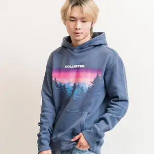 【HOLLISTER Co】海鷗 男版 設計款 帽T 長袖 連帽 穿搭 現貨 美國(平輸品)