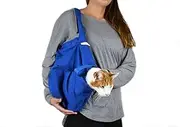 small cat grooming bag restraint carrier clipping nails medicine bath travel carrying IV car trimming ear care dental vet visit eye cleaning teeth brushing