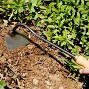 Hand Hoe Weeder Wedding Gardening Wood Handle Soil Loosening Garden Hoe Tool